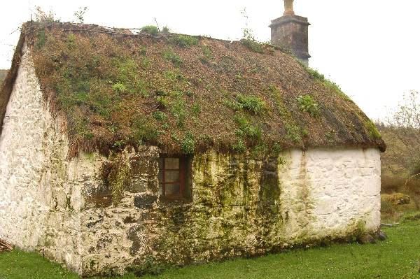 Scottish thatching